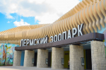 В Пермском зоопарке готовят животных с потомством к переезду в новый комплекс