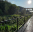 article22043.jpg - 59i.Ru