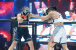 Спортсменка из Соликамска Дарья Кувакина завоевала пояс WKF по кикбоксингу