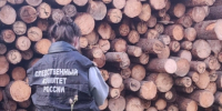 В Чусовом следователем СК России по факту смертельного травмирования малолетних возбуждено уголовное дело - Следственный комитет