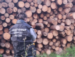 В Чусовом следователем СК России по факту смертельного травмирования малолетних возбуждено уголовное дело