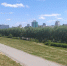 В Перми на Слудской горке создадут смотровую площадку с качелями и зону отдыха - Ветта