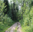 IMG_2528 - V-Kurse.Ru