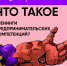 Что такое тренинги предпринимательских компетенций? И с чем их «едят»? - ПГСХА