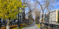 Комсомольский проспект осень - Новый Компаньон