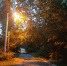 article22081.jpg - 59i.Ru