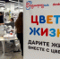 23 тысяч пермяков поддержали акцию помощи детям - Комсомольская Правда