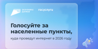 В Прикамье началось голосование за населенные пункты, где в 2026 году появится мобильный интернет - Министерство информразвития и связи