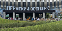 В Перми рядом с новым зоопарком планируют развивать жилой микрорайон - Комсомольская Правда