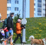 В Прикамье уменьшилось количество детей, попадающих в детские дома - Комсомольская Правда