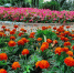 article22145.jpg - 59i.Ru