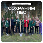 Сохраним лес