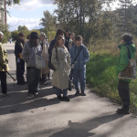 Ревайлдинг в охране окружающей среды