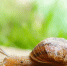 Фото: wirestock, Freepik - ПГТУ