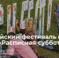 1 - Новый Компаньон