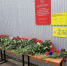 article22168.jpg - 59i.Ru