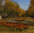 news-details - Вести-Пермь