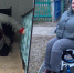 В Прикамье прокуратура помогла инвалиду-колясочнику - Комсомольская Правда