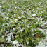 article22180.jpg - 59i.Ru