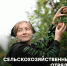 Студенческие сельскохозяйственные отряды - ПГСХА