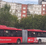 В Перми с октября изменится работа четырех автобусных маршрутов - V-Kurse.Ru