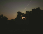 Фото: Shantanu Goyal, Unsplash