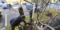 В Перми началась осенняя кампания по озеленению города - Комсомольская Правда