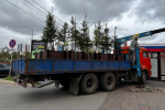 В Перми до конца года высадят 9700 новых деревьев и кустарников