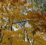 article22199.jpg - 59i.Ru