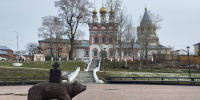 В Минприроды Пермского края прокомментировали появление медведя в центре Соликамска - Business Class
