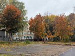 На неделе погоду в Пермском крае определит скандинавский антициклон