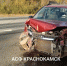 Авария на трассе М-12 в Краснокамском округе: пострадали три пассажирки - VikiPerm.Com