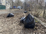 В Перми продолжаются еженедельные субботники в рамках проекта «Пермь в порядке»