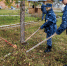 Сотрудники ИК-35 ГУФСИН России по Пермскому краю приняли участие в акции «Зеленая Россия» - УФСИН по Пермскому краю