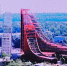 Пермь-Сити Жар-птица - Новый Компаньон