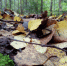 article22257.jpg - 59i.Ru