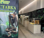 выставка экзотических животных