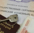 В Перми суд аннулировал фиктивную запись о рождении ребенка - Комсомольская Правда