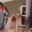 В Пермском крае обнаружили свыше 14 тысяч тонн подозрительного зерна - Комсомольская Правда