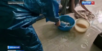 В Чайковском практически во всех домах восстановлено отопление и горячее водоснабжение - Вести-Пермь