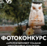 Фотоконкурс «АгроТехноУнивер глазами иностранных студентов» - ПГСХА