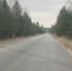 В Чайковском округе привели в порядок межпоселковые дороги - Комсомольская Правда