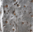 Фото: kues1, Freepik - ПГТУ
