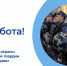 ЕСТЬ РАБОТА! - Центр занятости населения
