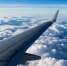 article22363.jpg - 59i.Ru