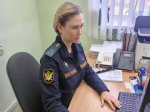 Крупный ущерб природе возмещен под контролем судебных приставов