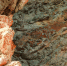 Фото: 8photo, Freepik - ПГТУ
