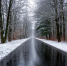 article22384.jpg - 59i.Ru