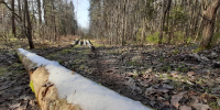 article22395.jpg - 59i.Ru