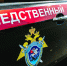 За три дня в Пермском крае странным образом погибли два подростка - Комсомольская Правда